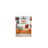 Leite Vegetal Mini Chocolate Orgânico A Tal Da Castanha 200ml