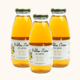 Kit 3x: Chá Preto Com Limão Sem Açúcar Villa Piva 300ml