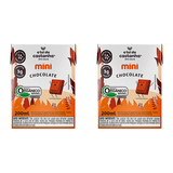 Kit 2x: Leite Vegetal Mini Chocolate Orgânico A Tal Da Castanha 200ml