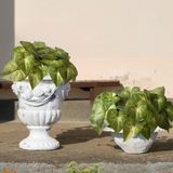 Hastes De Peperômias Verde Artificial 9 Unidades Para Composição De Arranjos De Mesa Ou Casamentos