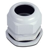 Prensa Cabos Rosca Bsp 1" - S854ci - Steck Steck