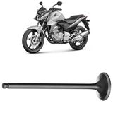Válvula Escape Moto Cb 300 Xre 300 Cbx 250 Twister