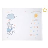 Cobertor De Bebê Disney Winnie The Pooh Super Soft Milestone