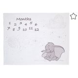 Cobertor De Bebê Disney Dumbo Super Soft Milestone Branco/cinza