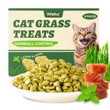 Cat Grass Treats Wellix Healthy Kitten Snacks 450 G De Salmão