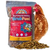 Lanches De Frango Buff Clucks Grub Fuel Black Soldier Fly Larvae