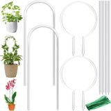 Plant Trellis Jesosia, Pacote Com 8 Acrílico Transparente Para Vasos De Plantas