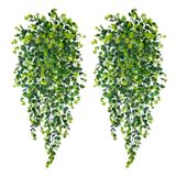 Plantas Artificiais Suspensas Hrobek Fake Boxwood Greenery 90 Cm, 2 Unidades