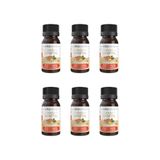 Oleo Capilar Vegetal Vita Seiva Gengibre 30ml-kit C/6un
