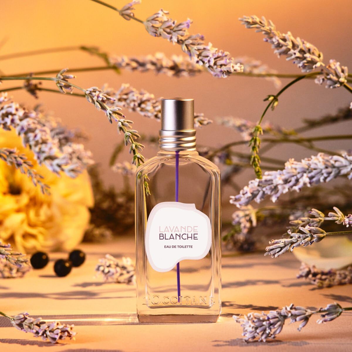 Perfume L'occitane White Lavanda Eau De Toilette 50ml - Carrefour