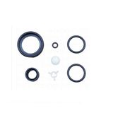Kit De Reparo Para Válvula Extratora