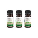 Oleo Capilar Vegetal Vita Seiva Babosa 30ml-kit C/3un