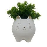 Cachepot rosto de gatinho branco de cerâmica com planta