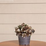 3 Buquês De Hortênsia Artificial Flores Realistas Para Decoração De Ambientes Com Elegância