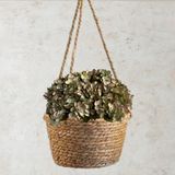 15 Mini Buquês De Hortênsia Artificial Flores Artificiais Para Composição De Guirlandas Decorativas