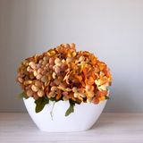 12 Mini Buquês De Hortênsia Para Dar Um Toque De Charme À Sua Decoração No Estilo Faça Você Mesmo