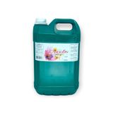 Sabonete Liquido Wash Gengibre Galao 5l Casa Limpa