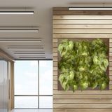 15 Folhagens Artificiais Peperômia Em Haste Decorativa Verde Realista Para Quadros Vivos Em Ambiente Interno