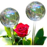 Globos De Rega Zhzhguo Up 2 Semanas Extra Grandes, 400 Ml, Pacote Com 2