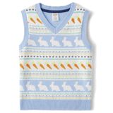 Colete De Suéter Gymboree Bunny Fairisle Para Menino 4t