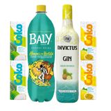 Gin Invictus Abacaxi Com Hortelã 900ml + Baly 2l + 4 Coko