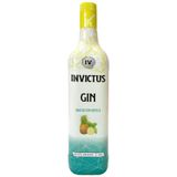 Gin Invictus Abacaxi Com Hortelã 900ml