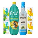 Gin Invictus London 900ml + Baly Abacaxi C Hortelã 2l + Coko