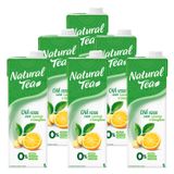 Chá Verde Natural Tea Laranja E Gengibre 1l 6 Unidades