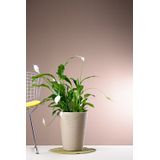 Vaso Decorativo Para Plantas Conico Capri 38 Bege
