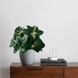 3 Buquês Permanentes De Peperômia Artificial Com Folhagem 3d Ideal Para Decoração De Ambientes