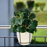 5 Folhagens De Peperomia Artificial Com Aspceto 3d Ideal Para Centros De Mesa E Arranjos Permanente