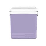 Caixa Termica Tropical Lilas 22l Transporta 4 Garrafas 2