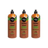 Creme Para Pentear Salon Line 1kg Hidra Coco - Kit Com 3un