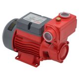 Bomba Elétrica Periférica Bb 500 A 19,5x15x24 Cm