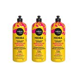 Creme Para Pentear Salon Line 1 Lt Hidra Kit Com 3un