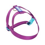 Peitoral Tradicional Meau Duo Roxo Azul - Tam. P