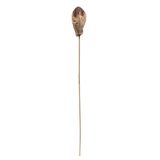 Botanicals Vickerman Natural Mahogany Pods Em Haste X20 - 100 Hastes