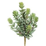 Sedum Artificial Verde E Vermelho Pick Vickerman Everyday 8