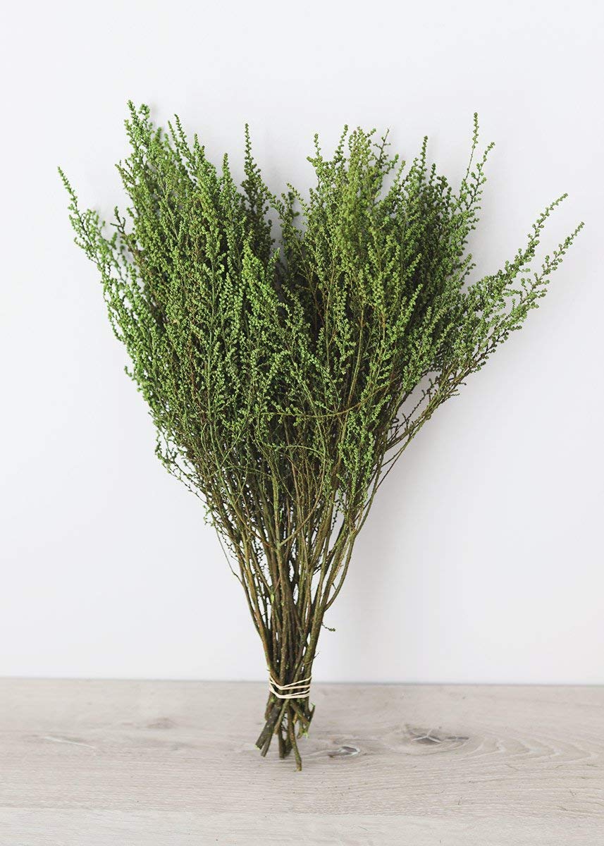 Folhagem De Pedra Preservada Afloral Oasis Green 150-200 Ml