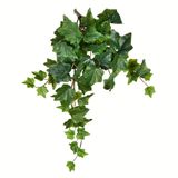 Arbusto Suspenso De Hera Verde Artificial De 18 Cm, Pacote Com 3, Vickerman