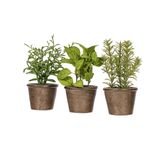 Conjunto De Plantas Em Vasos Verdes Artificiais Vickerman Everyday 7