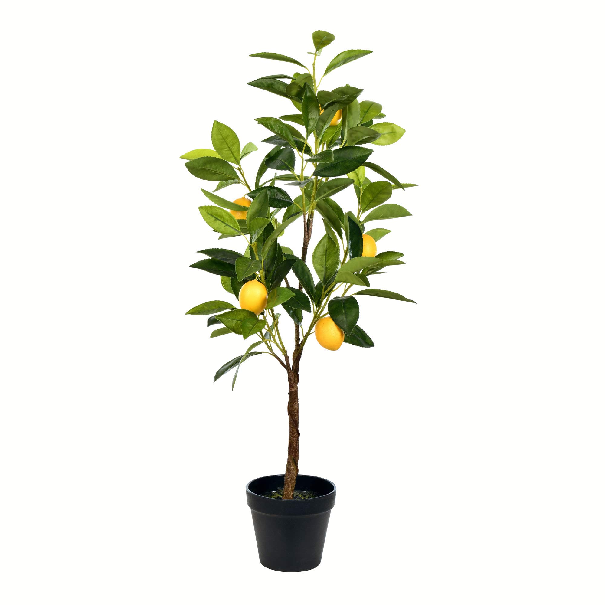 Limoeiro Artificial Em Vaso Vickerman Everyday 28 Polegadas