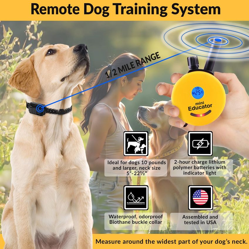 Coleira De Treinamento De Cães Educator E-collar Com Alcance Remoto De 1/2 Milha - imagem 3