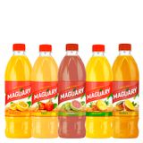 Kit Suco Concentrado Maguary Sabores Sortidos