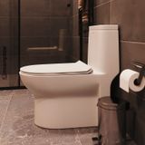 Vaso Sanitário Monobloco Cerâmica Duplo Acionamento 3/6l Jato Direcionável Manplex Branco Brilho