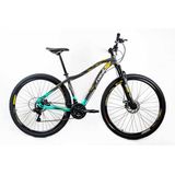 Bicicleta Aro 29 Rino Monalisa - Freio A Disco - Cambios Shimano 21v - Grafite+verde - 17