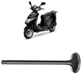Válvula Escape An 125 Burgman 2006 A 2010 Vini Controlflex