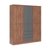 Guarda-roupa Casal Com Espelho Troy 6 Portas 3 Gavetas Freijó E Titânio