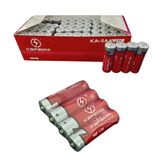 Caixa De Pilhas Aa Com 60 Pilhas 1,5v Kapbom