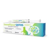 Beneflora Gatos Suplemento Alimentar Simbiótico 1 Seringa 5g